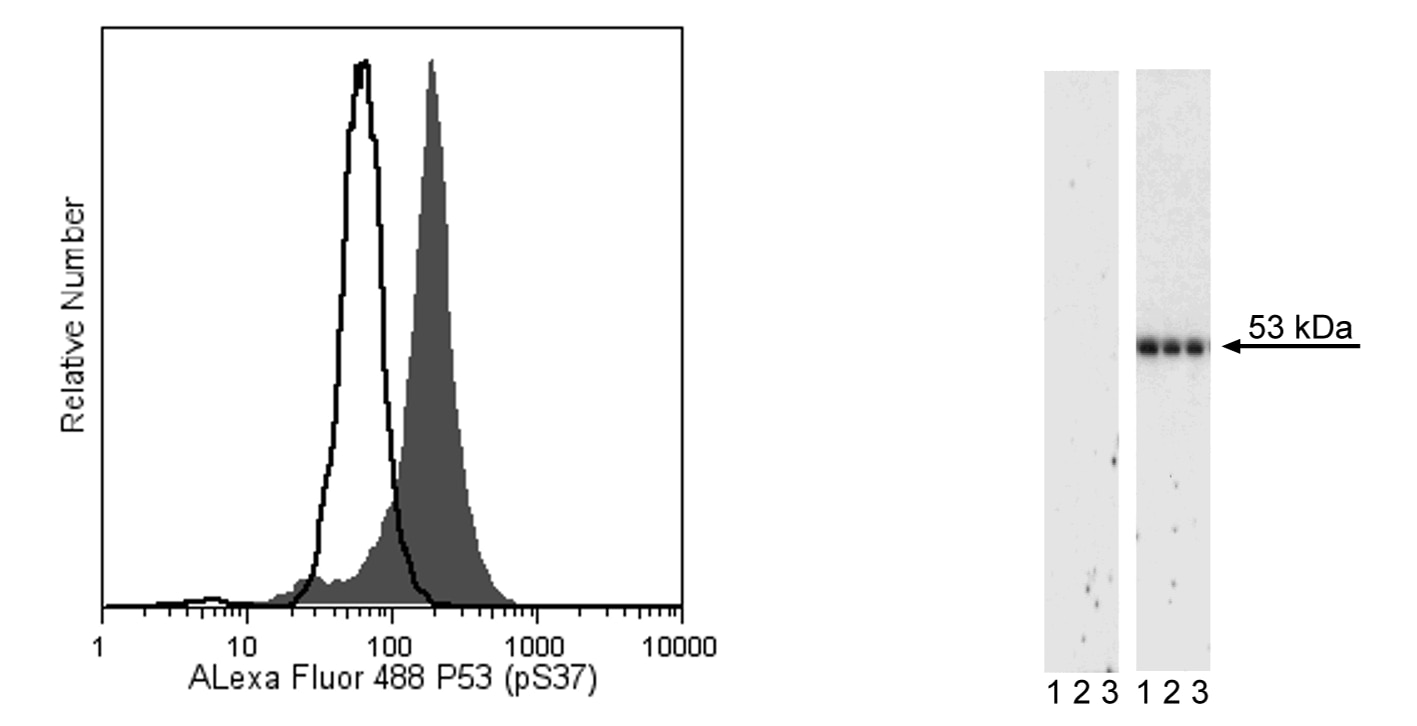 560282Image1.png